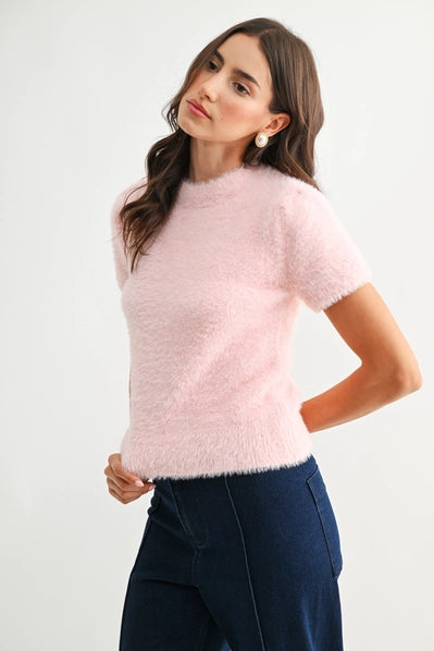 Soft Pink Fuzzy Knit Short Sleeve Sweater